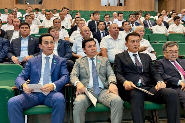 АУЫЛ ӘКІМІ БОЛУ – МҮМКІНДІК ПЕН ЖАУАПКЕРШІЛІК